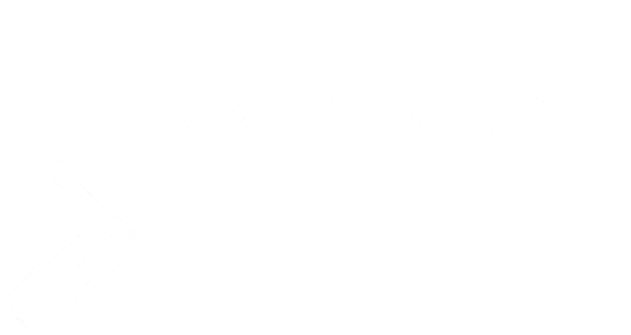 Dr Rémi Poncer — Refonte